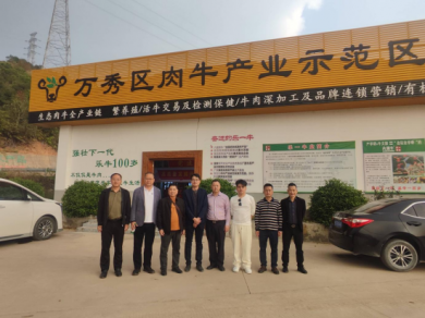 ����Ϊ��������ţ����Ȼţ��