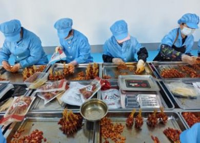 �����������������س��� ����Ʒ���⴮